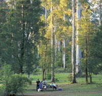 Big Brook Arboretum - Accommodation Gold Coast