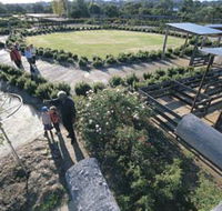 Kojonup Rose Maze - Accommodation Gold Coast