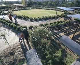 Kojonup Rose Maze - Accommodation Gold Coast 0