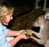 Discovery Bay's Walk on the Wild Side - Accommodation Gold Coast