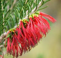 Ethel Daw Scenic Drive - Accommodation Gold Coast