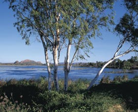 Celebrity Tree Park - Accommodation Gold Coast 0