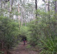 Margaret River Rails Trail - Accommodation Gold Coast