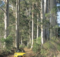Scotsdale Tourist Drive - Accommodation Gold Coast