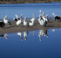 Peel Region Canoe Trails - Accommodation Gold Coast