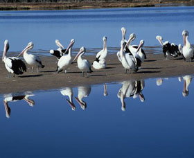 Peel Region Canoe Trails - Accommodation Gold Coast 0