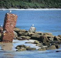 Whalers Beach - Accommodation Gold Coast