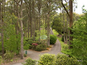 Mount Lofty Botanic Garden - Accommodation Gold Coast 0