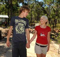 Crooked Brook Forest - Accommodation Gold Coast