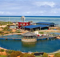 Ocean Park Aquarium - Gold Coast 4U