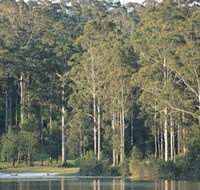Big Brook Dam - Accommodation Gold Coast