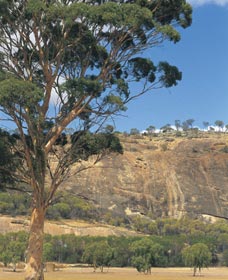 Mount Stirling - Accommodation Gold Coast 0