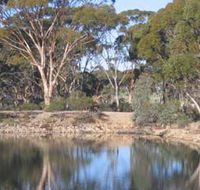 Merredin Railway Dam - Accommodation Gold Coast