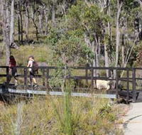 Forest Path Crooked Brook - Accommodation Gold Coast