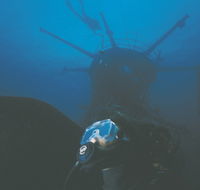 Swan Dive Wreck - Accommodation Gold Coast
