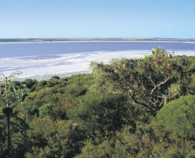 Pink Lake - 1 Gold Coast 0