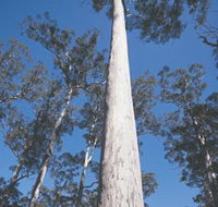 The Four Aces - Accommodation Gold Coast