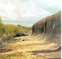 Totadgin Dam Reserve - Accommodation Gold Coast