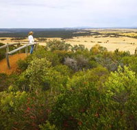 Archer Drive Scenic Drive and Lookout - Accommodation Gold Coast