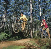 Leeuwin-Naturaliste National Park - Cowaramup - Accommodation Gold Coast
