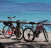 Parker Point Marine Snorkel Trail - Accommodation Gold Coast