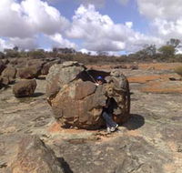 Gathercole Nature Reserve - Accommodation Gold Coast