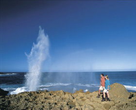The Blowholes Carnarvon - Accommodation Gold Coast 0