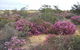 Reynoldson's Flora Reserve - thumb 0