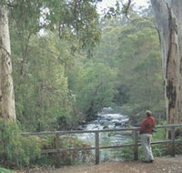 Cascades - Accommodation Gold Coast