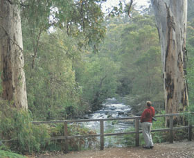 Cascades - Accommodation Gold Coast 0