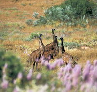 Jurabi Coastal Reserve - Accommodation Gold Coast