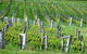Sienna Estate Winery - thumb 0