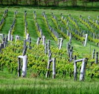 Sienna Estate Winery - Accommodation Gold Coast