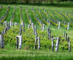 Sienna Estate Winery - Accommodation Gold Coast 0