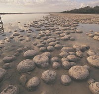 Yalgorup National Park - Accommodation Gold Coast