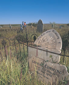 Peedamulla WA Accommodation Gold Coast