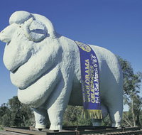 Giant Ram Tourist Park - Accommodation Gold Coast