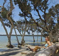 Stokes National Park - Accommodation Gold Coast