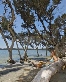 Stokes National Park - Accommodation Gold Coast 0