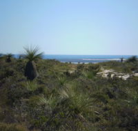 Lesueur National Park - Accommodation Gold Coast