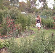The Mythic Mazes - Accommodation Gold Coast