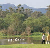 Porongurup National Park - Accommodation Gold Coast