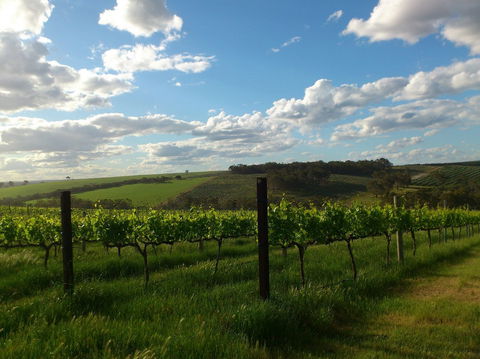 Plantagenet Wines - Accommodation Gold Coast 1