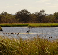 Anytime Adventures in Mandurah  the Peel Region - Accommodation Gold Coast