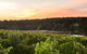 Aravina Estate - thumb 0