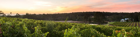 Aravina Estate - Accommodation Gold Coast 0