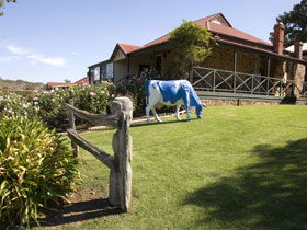 Macclesfield SA 1 Gold Coast