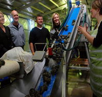 Eyre Peninsula's Seafood Trail - Accommodation Gold Coast