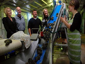 Eyre Peninsula's Seafood Trail - Accommodation Gold Coast 0