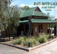 Rain Moth Gallery - Gold Coast 4U